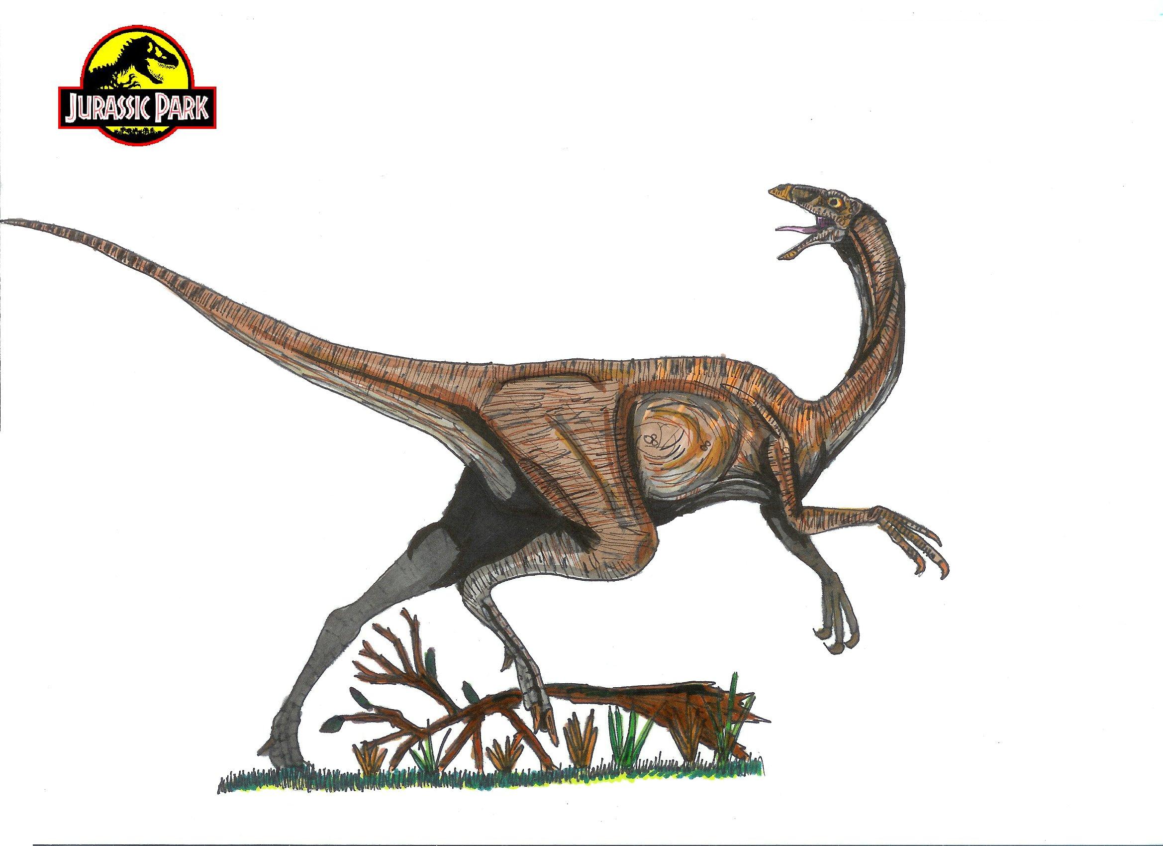 gallimimus velociraptor