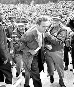 Mario-savio-greek