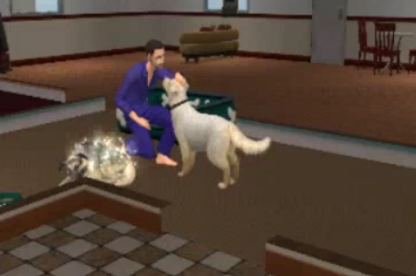 Sims Cats And Dogs How To Give Birth Sims Cats And Dogs How To Give Birth