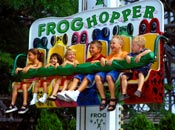 Frog Hopper