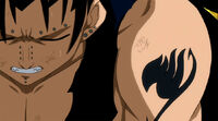 Gajeel FT mark
