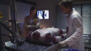 DexterS6Pic3