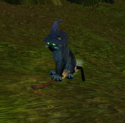 FelineFamiliarBroom