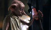 Dobby sock