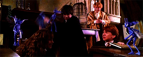 http://static2.wikia.nocookie.net/__cb20111106170732/harrypotter/images/1/1c/Pixie.gif