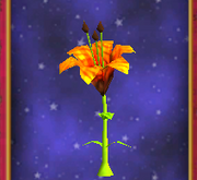 TigerLily