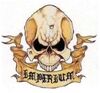 Skull Motto