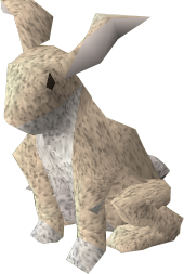 Rabbit - The RuneScape Wiki