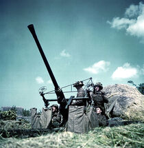 585px-Bofors-p004596