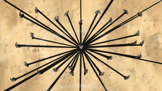 http://static2.wikia.nocookie.net/__cb20111208124950/naruto/images/thumb/1/1f/Black_spider_lily.png/320px-Black_spider_lily.png