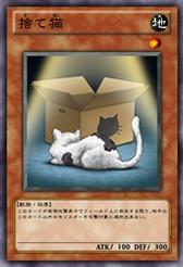StrayCat-JP-Anime-ZX.png