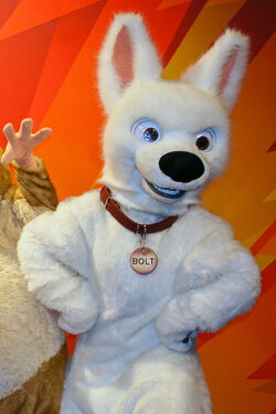 Bolt WDW