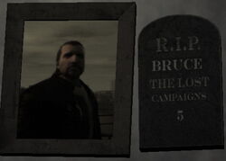 Bruce-TLAD