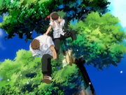 Ueki saves both