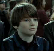 Albus-DH