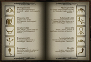 Antiche-Rune-Libro