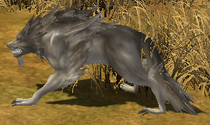Raid beast
