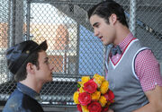 Klaine 3x03 flowers