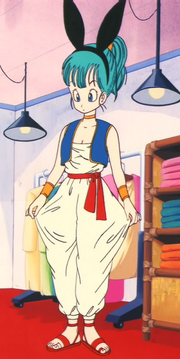 BulmaBunnyEp09
