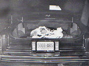 Roy DeMeo body