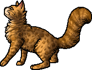 Leopardstar.deputy