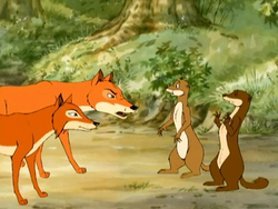 Foxweasels