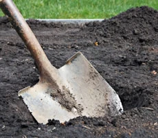 [Image: Digging_grave.jpg]