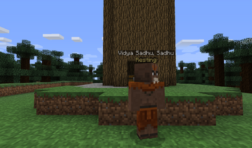 Sadhu