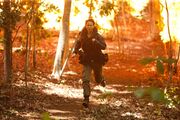 Katniss fire