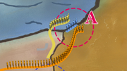 Shikaku Strategy