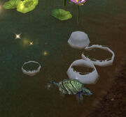 GurglingToadspawn