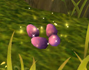 TernEggs