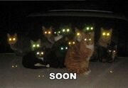 Soon
