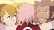 Camino de Sakura