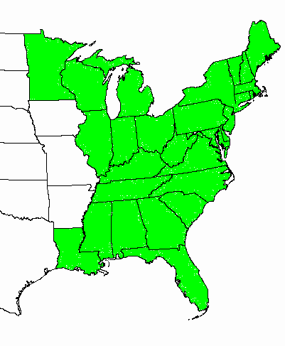 Image - Blank-map-of-the-united-states.png - MicroWiki - Micronation