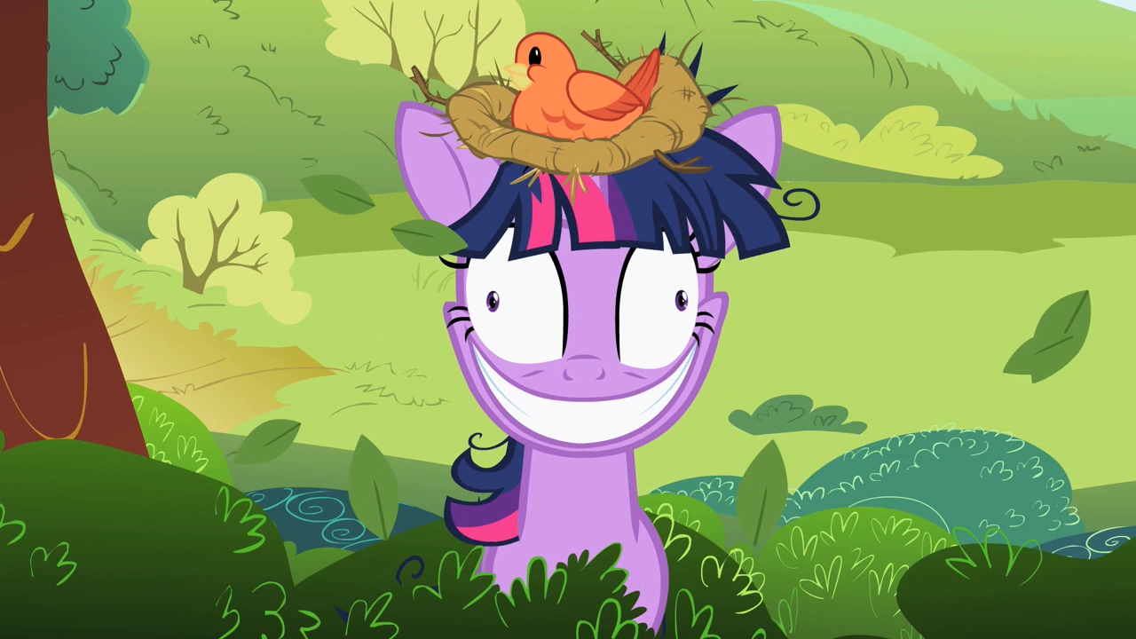 Twilight_Sparkle_with_a_bird's_nest_on_her_head_S2E03.png