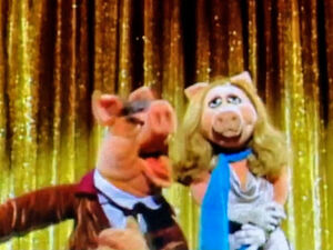 Piggy Tonight Show