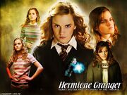 Hermione-Wallpapers-hermione-granger-7823429-1024-768