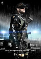 Fox poster