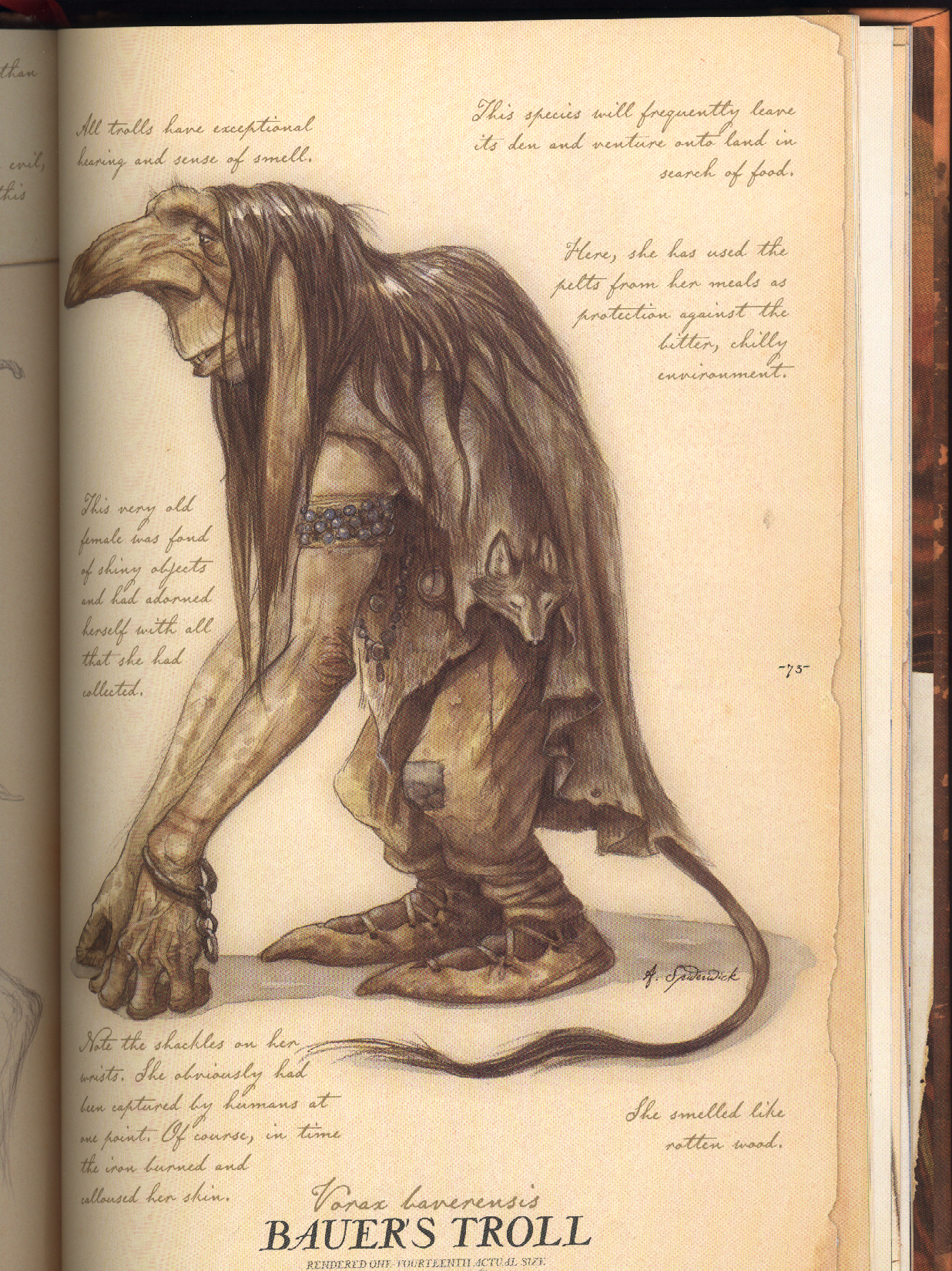 Spiderwick Troll: Unpacking The Magic Of The Spiderwick Chronicles