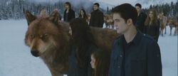 Jacob-nessie-bella-edward-family
