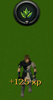 XP POPUP
