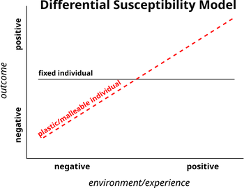 Differentialsusceptibilitymodel