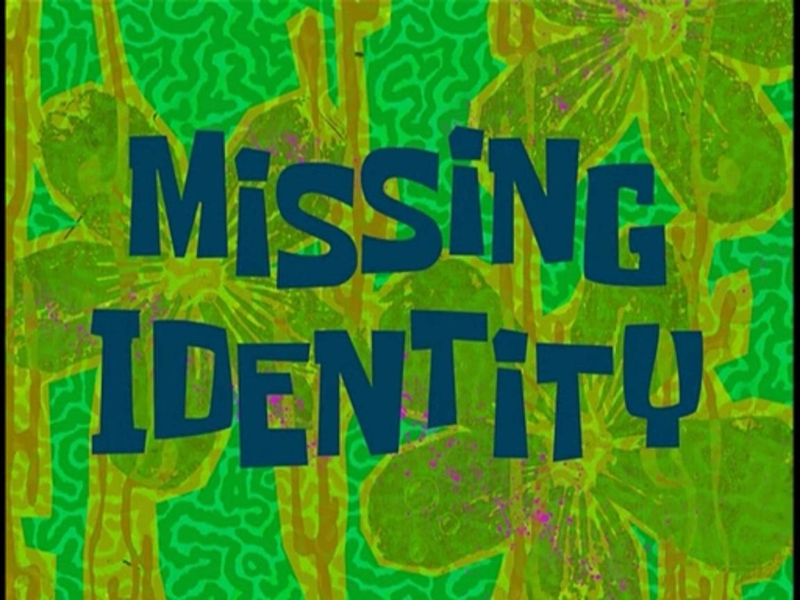 Missing_Identity.jpg