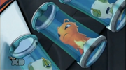 Burpy and floppers