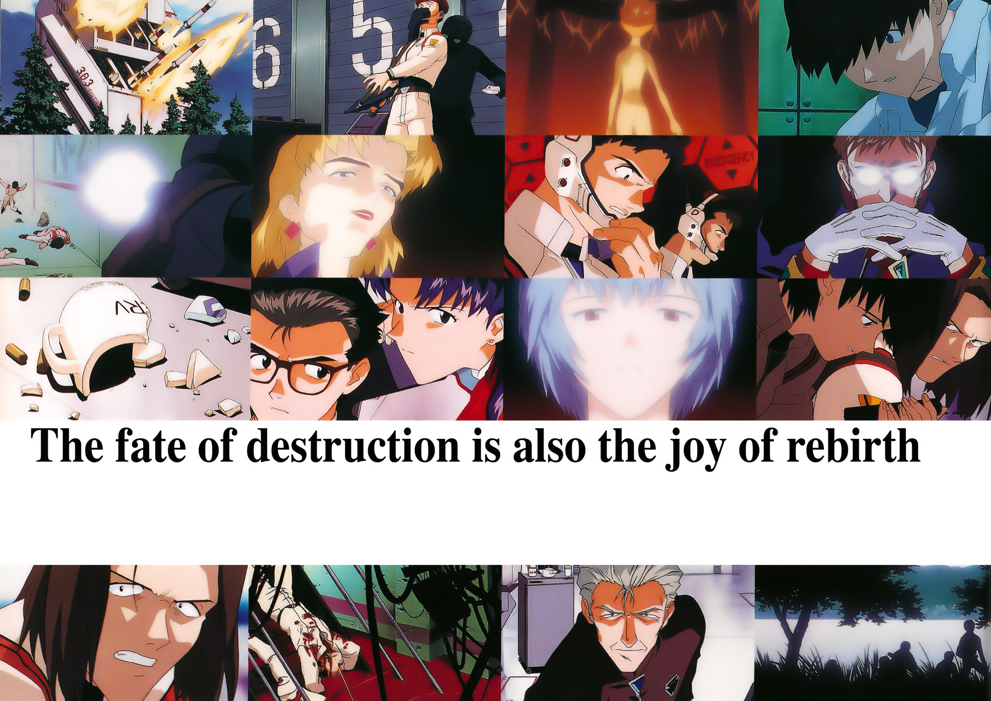 the end of evangelion red cross book pdf