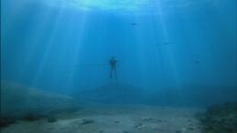 1x3cretaceousSea