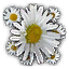 Pushin' Daisies Emblem MW2