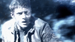 Tumblr mdj9rdPO2p1rd3hhgo6 250