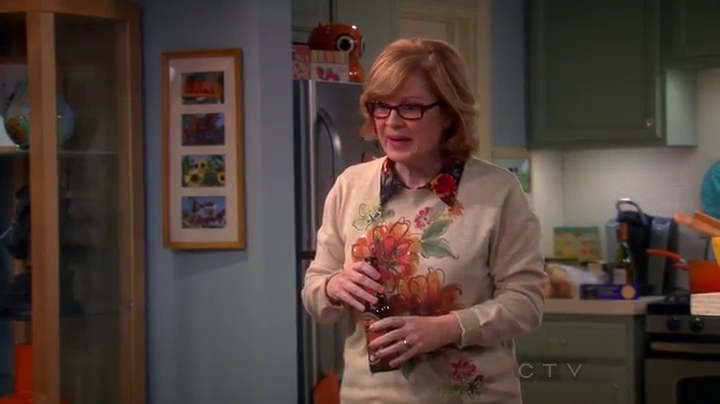 Mrs Rostenkowski The Big Bang Theory Wiki 7402